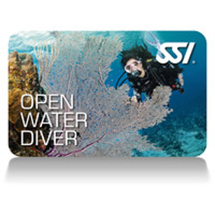 Open Water Diver